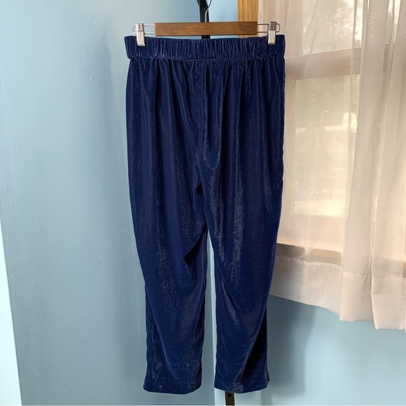 J. Crew Navy Velvet Pull On Pants - Picture 5 of 6